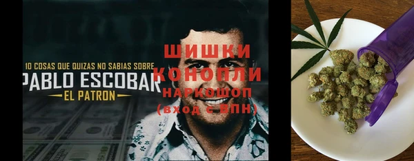 PSILOCYBIN Белокуриха