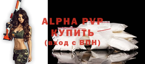 PSILOCYBIN Белокуриха