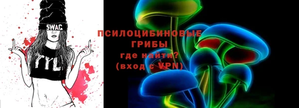 PSILOCYBIN Белокуриха