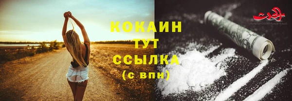 PSILOCYBIN Белокуриха